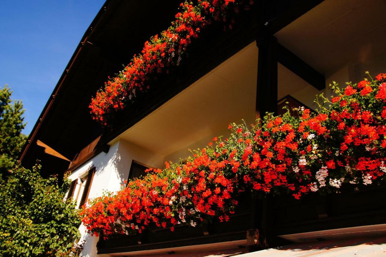 Pension Appartement Santl Anterselva di Sotto Екстер'єр фото